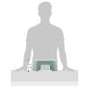 image:imageBabyBjrn Step Stool Deep GreenWhiteDeep GreenWhite